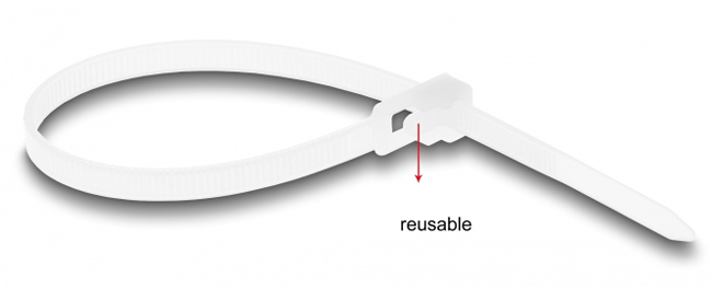 DELOCK reusable δεματικά καλωδίων 18642, 200×4.8mm, λευκά, 100τμχ