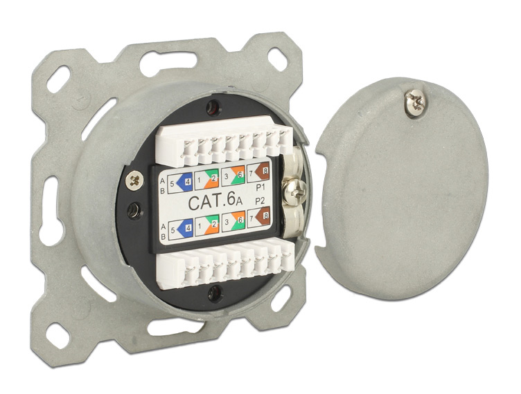 DELOCK Modular Wall Outlet Δικτύου, Cat.6A, 2x LSA, 2 Port