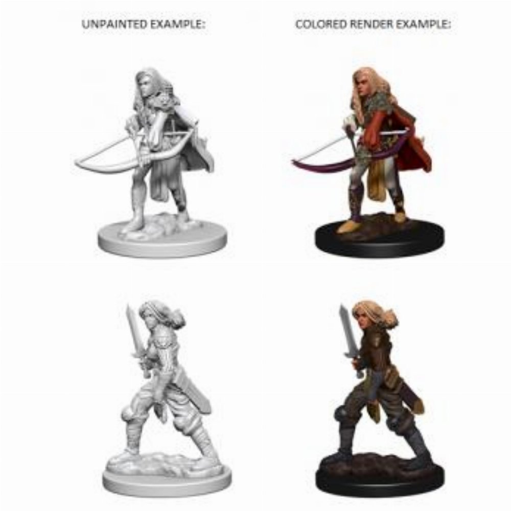 Pathfinder Deep Cuts Miniatures – 2 x Human Female Fighter