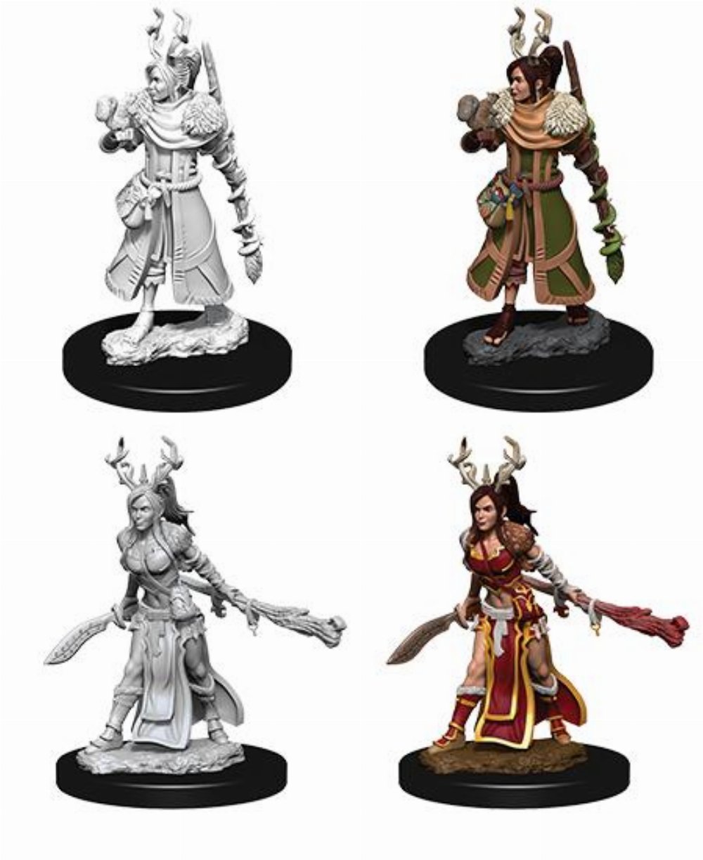 D&D Nolzur’s Marvelous Miniatures – 2x Female Human Druid