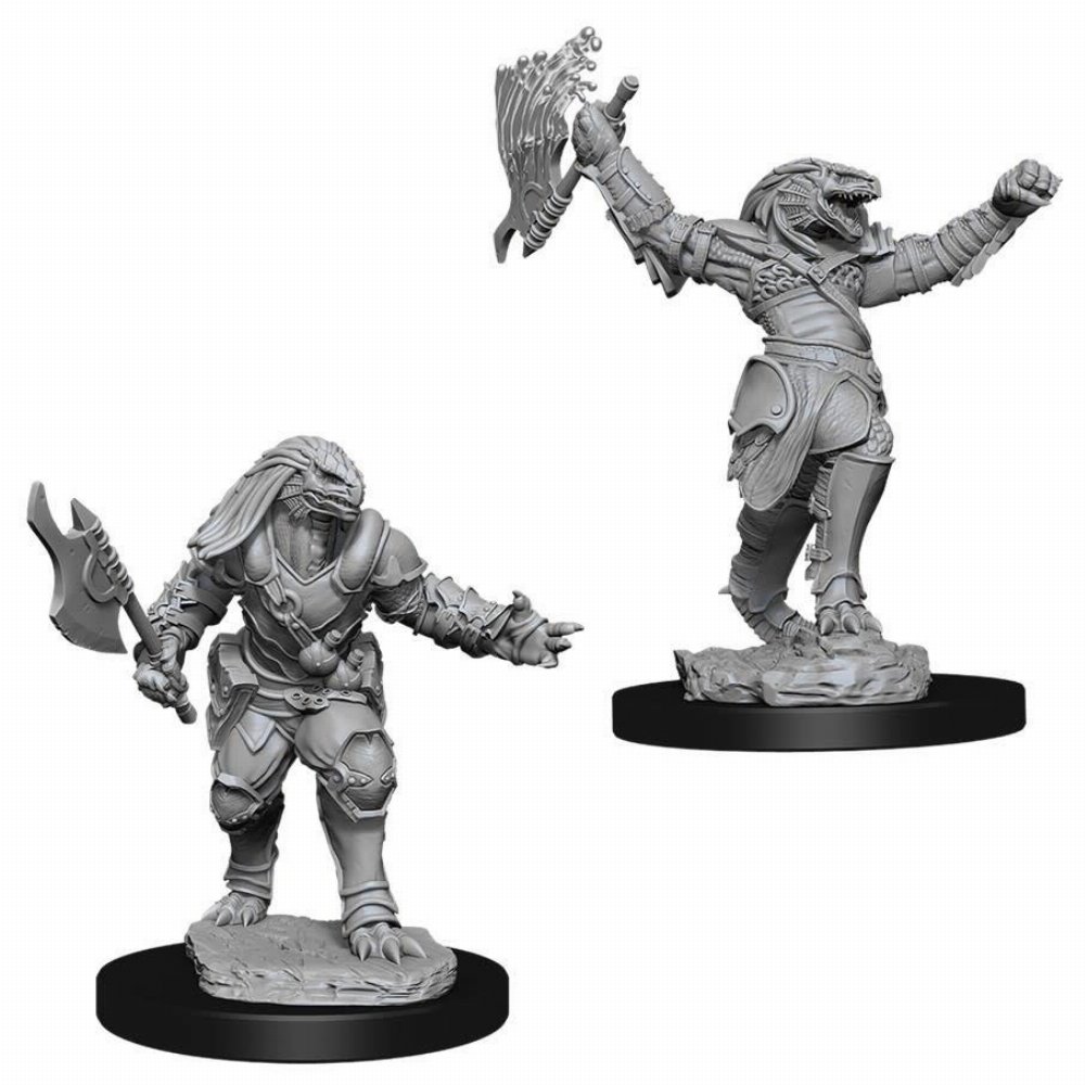 D&D Nolzur’s Marvelous Miniatures – 2x Dragonborn Female Fighter