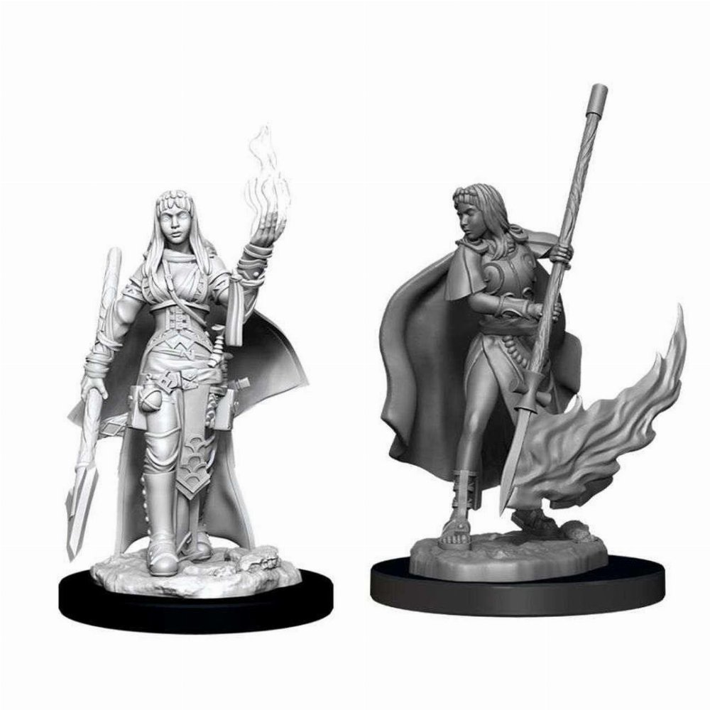 Pathfinder Deep Cuts Miniatures – 2x Female Human Oracle