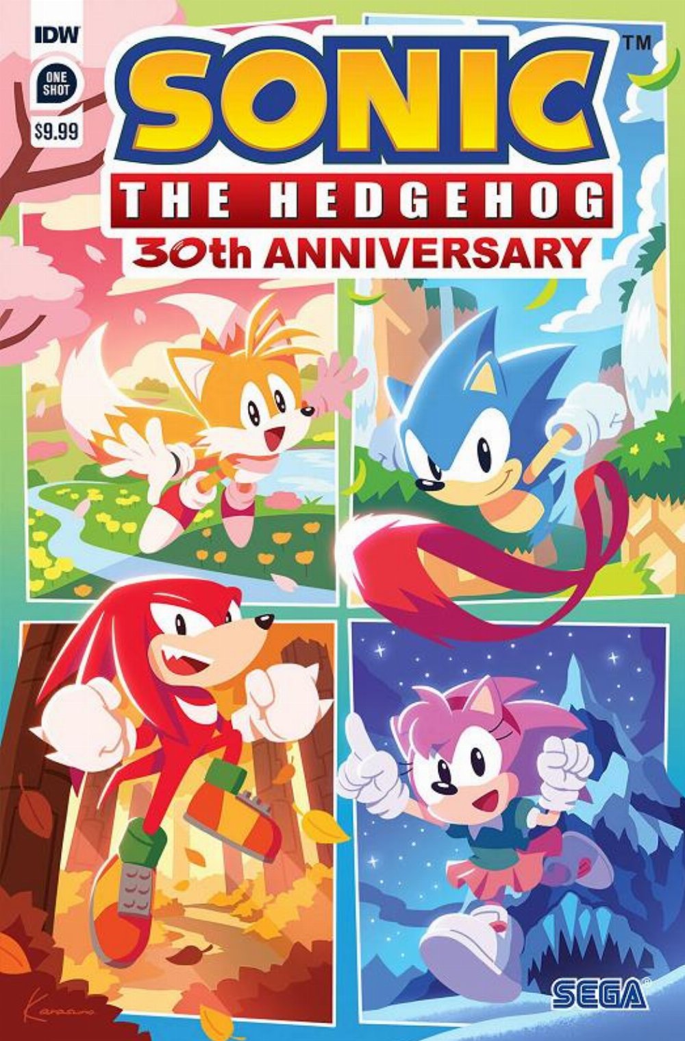 Sonic The Hedgehog 30th Anniversary