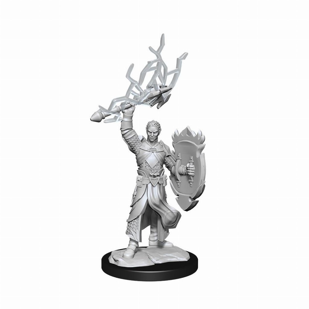 D&D Nolzur’s Marvelous Miniatures – 2x Half-Elf Male Paladin