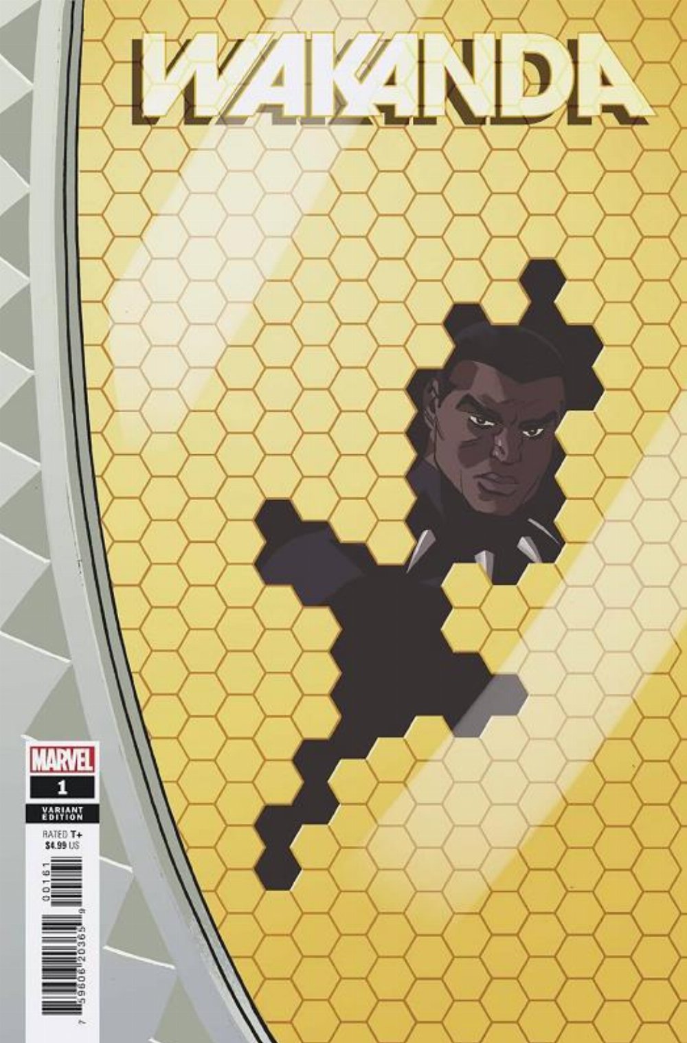 Τεύχος Κόμικ Wakanda #1 (OF 5) Reilly Windowshades Variant Cover