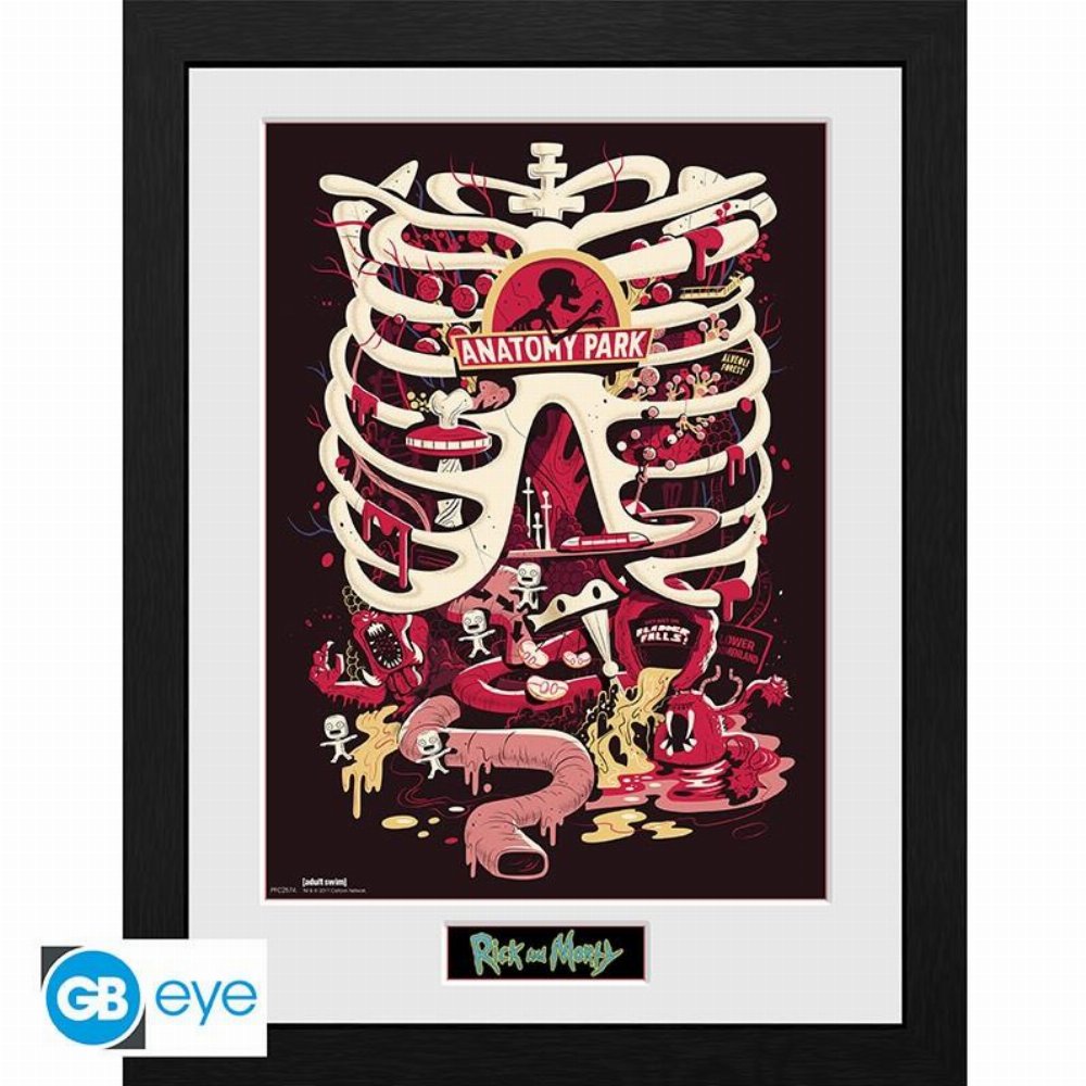 Rick and Morty – Anatomy Park Αφίσα σε Κάδρο (31x41cm)