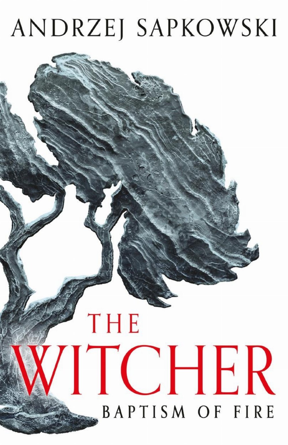 Νουβέλα The Witcher: Book 3 – Baptism of Fire