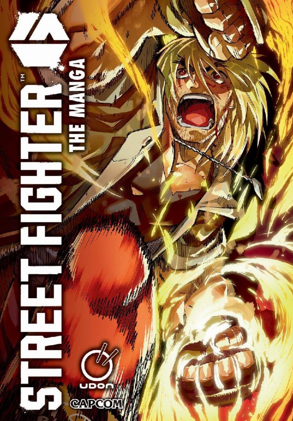 Τόμος Manga Streer Fighter 6: The Manga