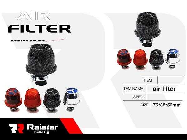 Φίλτρο αναθυμιάσεων αυτοκινήτου – Mini – R-GT1103-2 – 310598