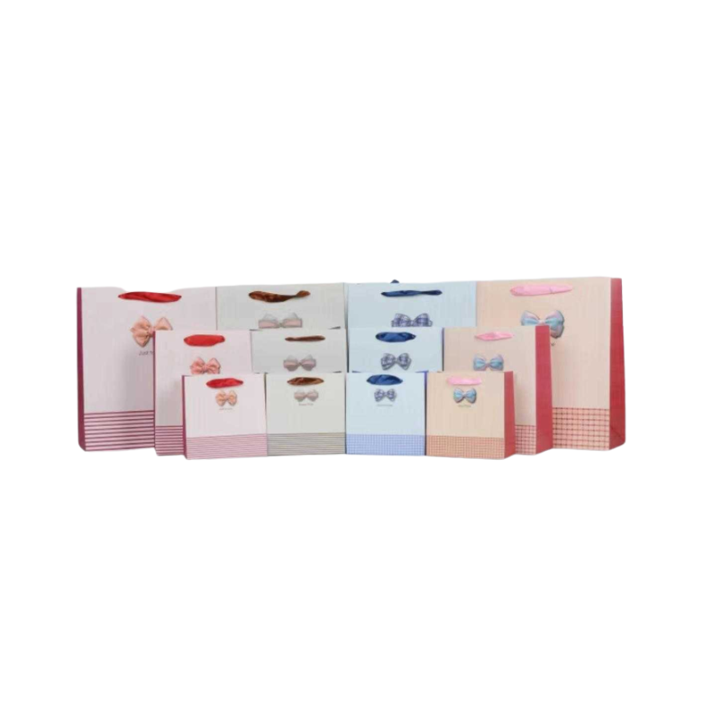 Σετ σακούλες δώρου – 12pcs – DF281S – 828123