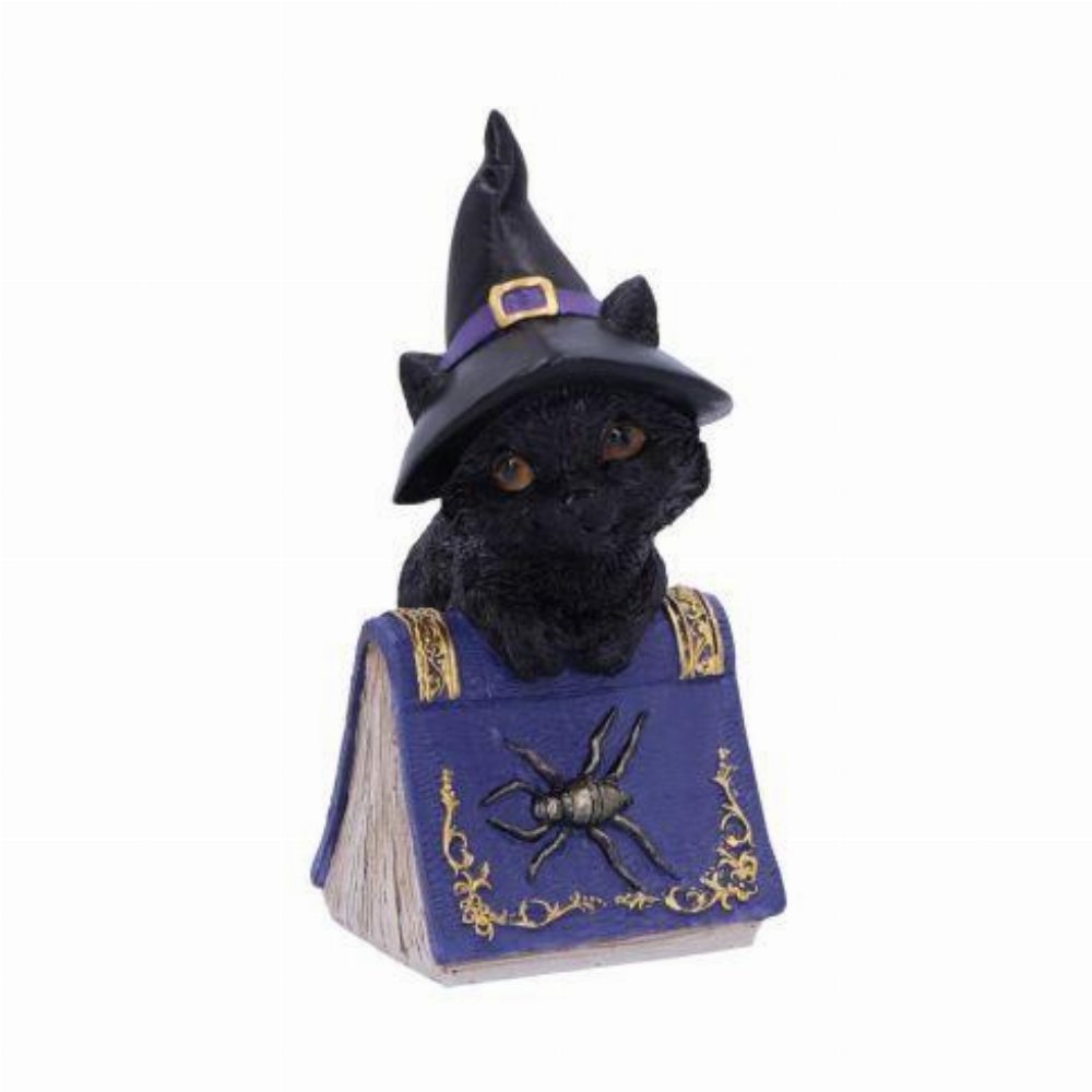 Coven Keepers – Pocus Αγαλματίδιο (11cm)