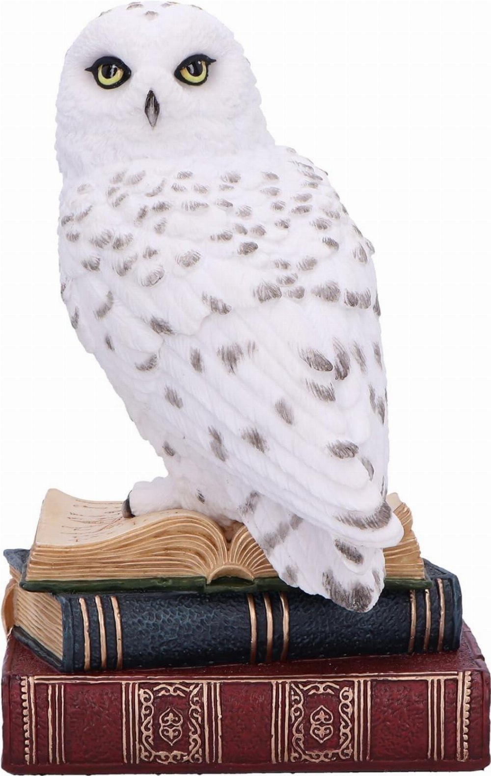 Library of Wisdom – White Owl Αγαλματίδιο (17cm)