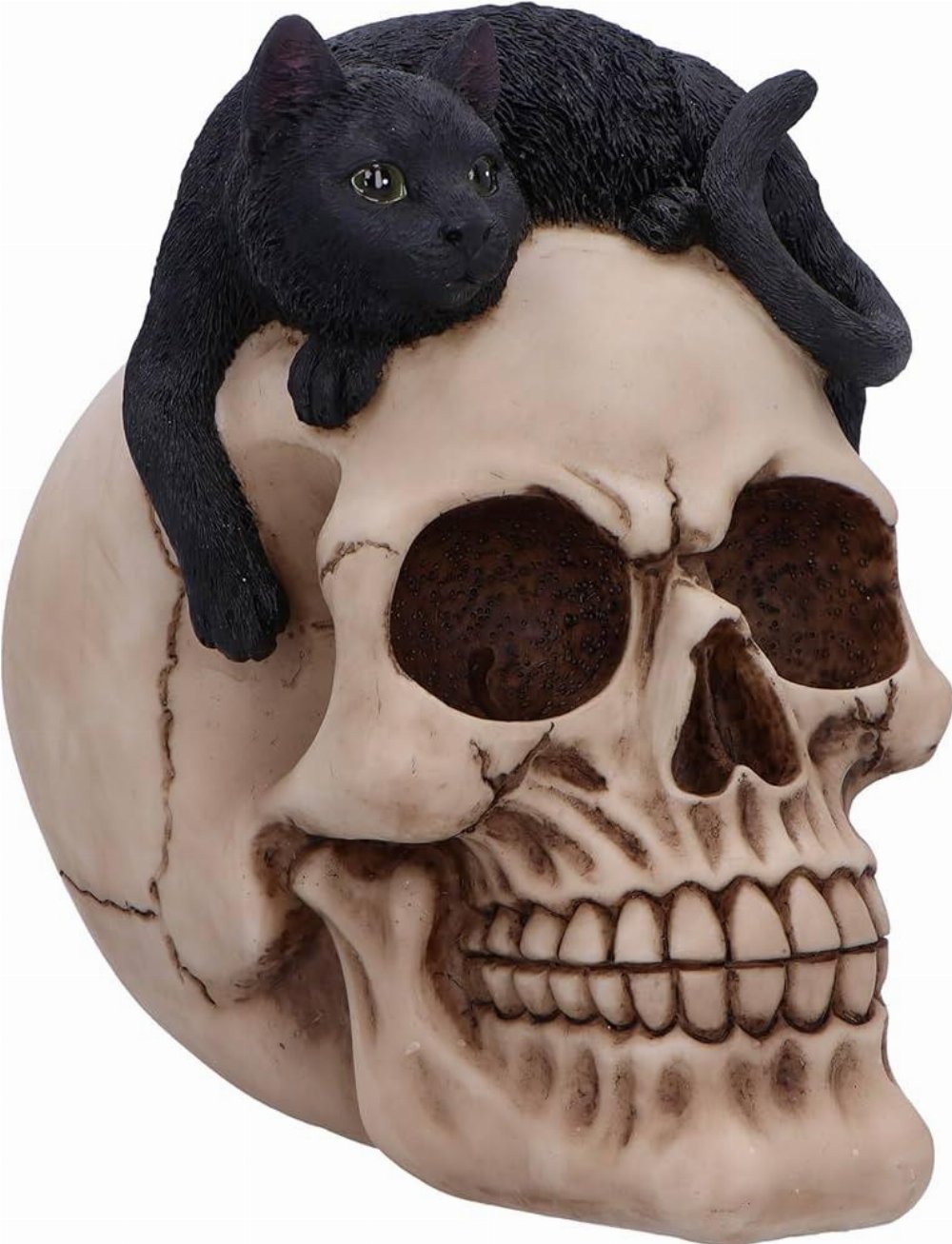 Forever Friend – Black Cat Skull Head Αγαλματίδιο (14cm)