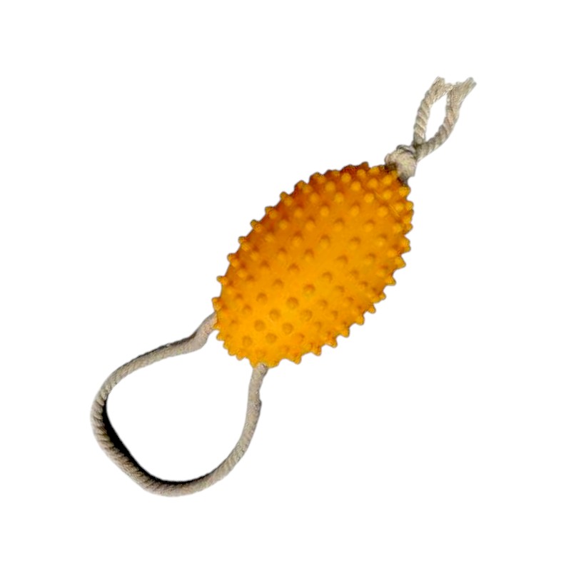 Παιχνίδι σκύλου Latex μπάλα με σχοινί – 35×11.5cm – 550390